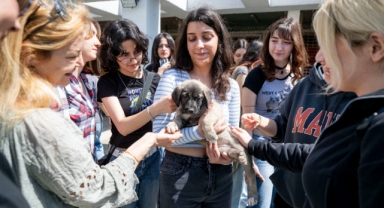 4 Nisan Dünya Sokak Hayvanları Günü PAKO’da kutlandı