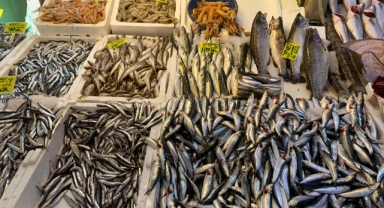 Balık fiyatları fırladı