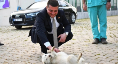 Başkan Demir’den “Canbulans” müjdesi: 