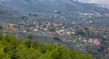 ÇED süreci başladı: İzmir’de ormanlık alana mermer ocağı! 