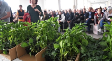 Hedef; üretimi canlandırmak... Bornova Belediyesi'nden Bornovalılara 100 bin fide! 