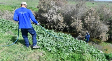 İzmir Büyükşehir Belediyesi ilaçlama çalışmalarına hız verdi