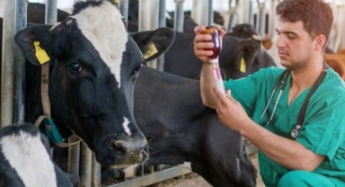 Tarım Kredi şirketleri faize battı 