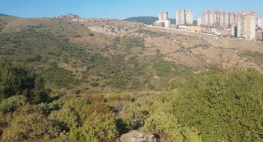 AK Partili Kaya duyurdu: Uzundere TOKİ İmar Planı onaylandı