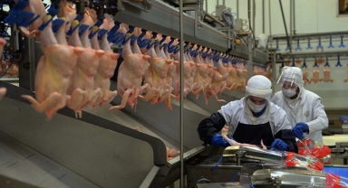 Beyaz et sektöründeki 4 firmaya rekor ceza