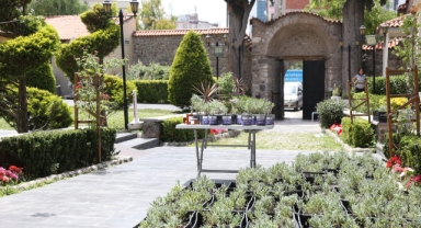 Bornova’da “Dünya Arı Günü” buluşması