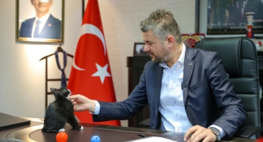 Buca'da hayvansever atama: Başkan Duman'dan sahiplenme daveti