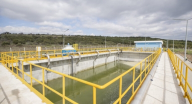 Büyükşehir'den açıklama: Keçilerin ölüm nedeni zehirlenme değil