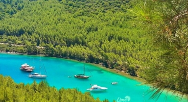 Cennet Koyu’nda beton yığını: Cengiz İnşaat’ın talanına yeşil ışık! 