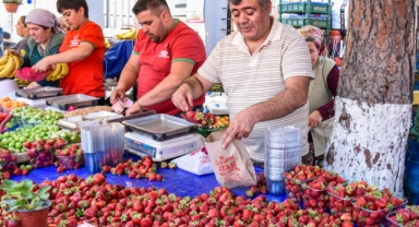 Emiralem Çileği yüz binleri Menemen'de buluşturdu