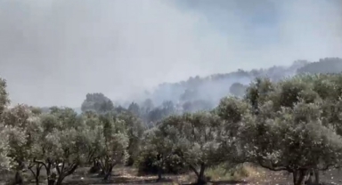 İzmir’de korkutan yangın: Alevler, ormandan yükseldi! 