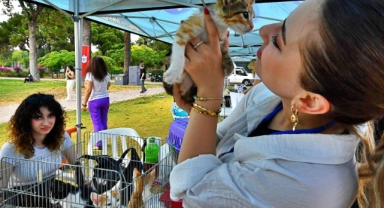 İzmir, patili dostlarını yalnız bırakmadı: “Öldürmeyeceğiz yaşatacağız”