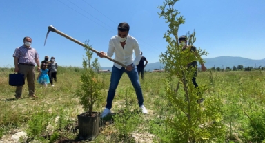 Kırıkkale'de ücretsiz fidan izdihamı 