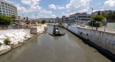 Kokuya karşı mücadelenin etkileri bu yaz görülecek