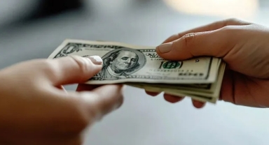 Merkez Bankası'ndan tarihi döviz alımı 