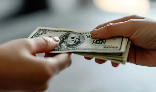 Merkez Bankası'ndan tarihi döviz alımı