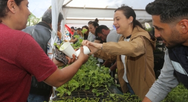 Selçuk'ta atalık tohumlardan üretilen fideler halkla buluşturdu