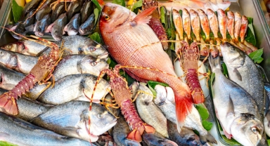 Su ürünleri ihracatı son 5 yılda yüzde 65 arttı