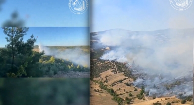 Bergama'da 20 saatlik uğraş... Yangın kontrol altına alındı