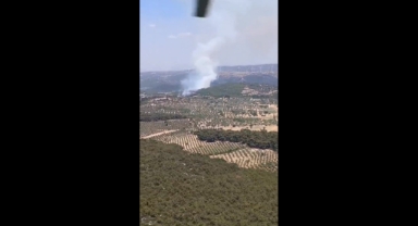 Bergama'da orman yangını