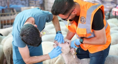 Buca’da kurban pazarlarında sıkı denetim