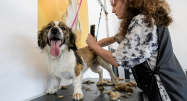 Bunaltan sıcaklarda can dostlar unutulmadı