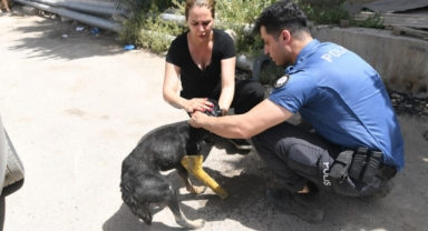 Can Dostları yangından kurtarıldı