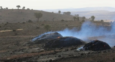 Diyarbakır ve Mardin yangını: DEDAŞ rekor tazminat ödeyebilir