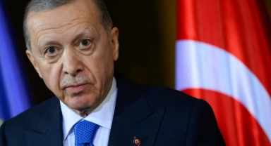 Erdoğan, sokak hayvanları kararını verdi: Düzenlemede neler yer alacak?