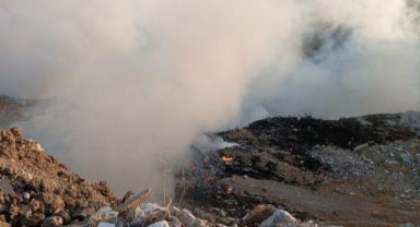 Foça'da çıkan yangınla ilgili 2 kişiye gözaltı!