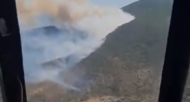 İzmir'de orman yangını