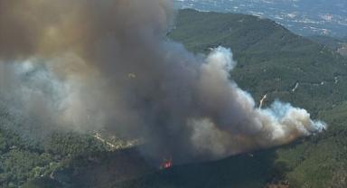 Bergama'da yangın sürüyor! 