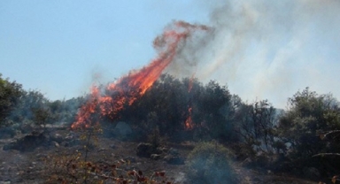 Bergama yangınında şok iddia: Helikopterler müdahale etmedi!