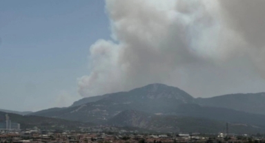 Bornova'da orman yangını