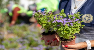 Buca’nın caddeleri çiçek açtı