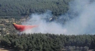 Dün öğlen saatlerinde başlamıştı: Orman yangını kontrol altına alındı