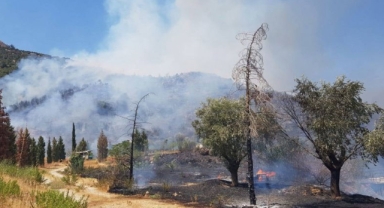 Ekipler yoğun müdahalesi var: Selçuk'ta yangın alarmı!