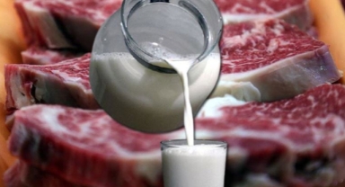 ESK kuzu etinin tanıtımı için 193 milyon TL bütçe ayırdı