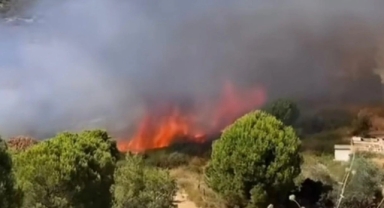Foça'da yangın alarmı