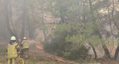 İtfaiye ekiplerinden gece gündüz demeden alevlerle mücadele
