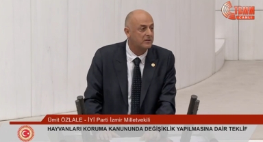İYİ Partili Özlale'nin meclis konuşması sosyal medyayı yıktı: 'Çocukları taciz eden sapıkları toplayın!'