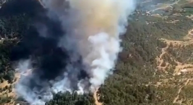 İzmir'de bir orman yangını daha: Ekipler müdahale ediyor
