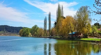 İzmir'de yetkililer alarmda:Gölcük Gölü'nde yüzlerce balık ölü olarak kıyıya vurdu
