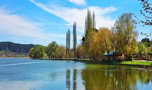 İzmir'de yetkililer alarmda:Gölcük Gölü'nde yüzlerce balık ölü olarak kıyıya vurdu