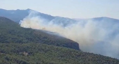 Muğla'da orman yangını: Akgedik Barajı yakınlarında çıktı