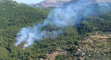 Muğla Milas'ta yangın alarmı