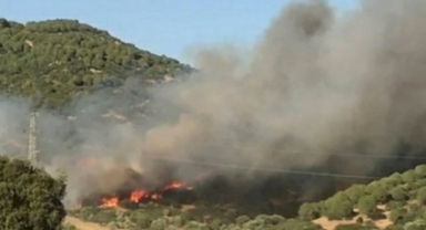 Ödemiş'te yangın alarmı... Havadan ve karadan müdahale ediliyor 