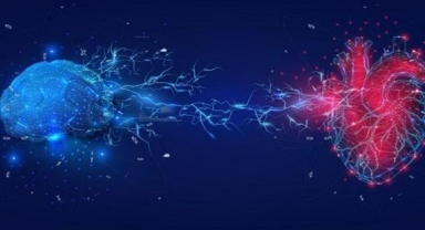 Ölürken beynimizde ne oluyor?