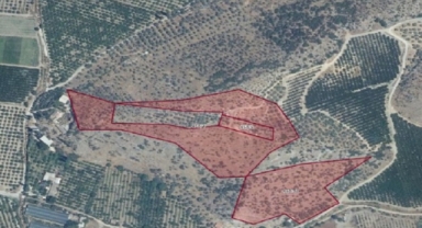 Selçuk'ta kaçak kazıda tarihi taş mezar bulundu! Bölge sit alanı ilan edildi