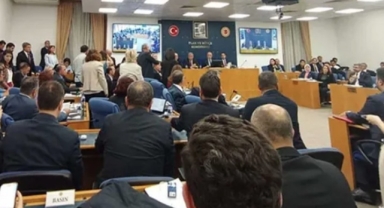 'Sokak hayvanlarına ötenazi' teklifi görüşmeleri ertelendi